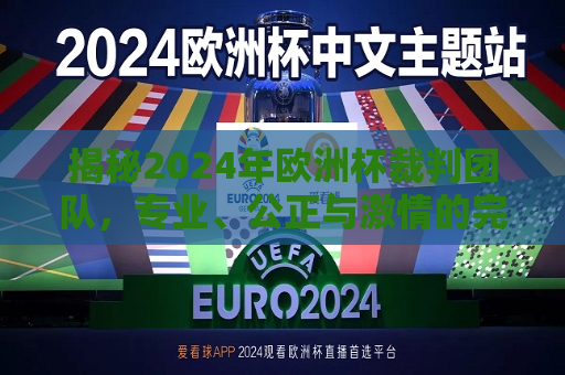 揭秘2024年欧洲杯裁判团队，专业、公正与激情的完美结合，揭秘2024年欧洲杯裁判团队，专业公正与激情汇聚一堂，2024年欧洲杯裁判团队的专业与激情汇聚  第1张