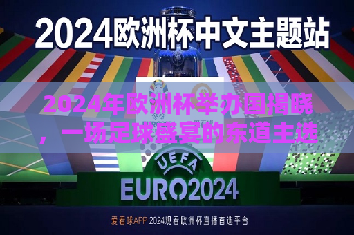 2024年欧洲杯举办国揭晓，一场足球盛宴的东道主选择