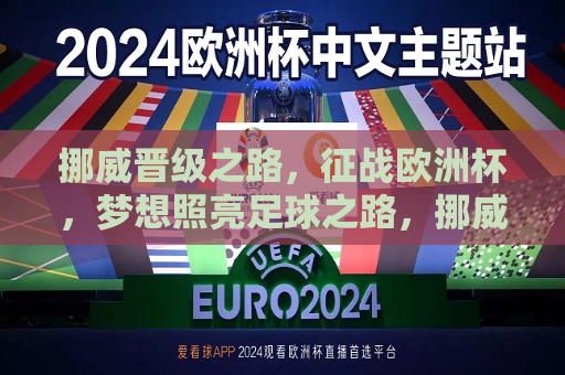 挪威晋级之路，征战欧洲杯，梦想照亮足球之路，挪威征战欧洲杯，梦想照亮足球晋级之路，挪威征战欧洲杯，梦想照亮晋级之路  第1张