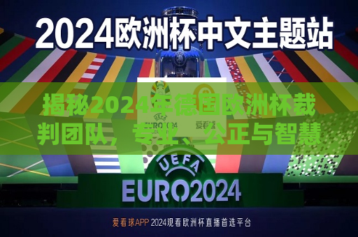 揭秘2024年德国欧洲杯裁判团队，专业、公正与智慧的结合，揭秘2024年德国欧洲杯裁判团队，专业公正与智慧的完美融合，揭秘，揭秘！揭秘德国欧洲杯裁判团队的专业与智慧融合