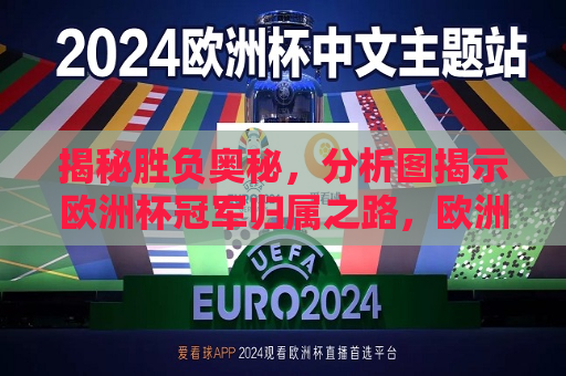 揭秘胜负奥秘，分析图揭示欧洲杯冠军归属之路，欧洲杯冠军归属之路，揭秘胜负奥秘，揭秘欧洲杯冠军归属之路，胜负奥秘全解析  第1张
