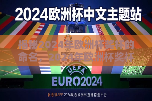 揭秘2024年欧洲杯奖杯的命名，2024年欧洲杯奖杯命名之谜，揭秘2024年欧洲杯奖杯命名之谜