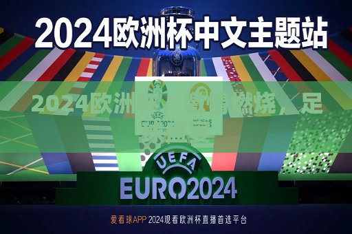 2024欧洲杯，激情燃烧，足球盛宴