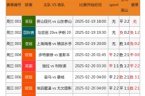 足球比赛数据分析(足球比赛数据分析报告网站)