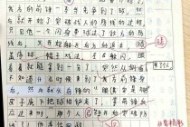 快乐足球比赛作文(快乐的足球比赛90字)