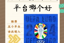 央视2016欧洲杯音乐(央视2016欧洲杯背景音乐)