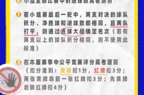 2024欧洲杯简介(2024年欧洲杯预选赛)