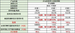 意外险怎么买欧洲杯(意外险怎么买欧洲杯的)，如何购买欧洲杯期间的意外险，欧洲杯期间如何购买意外险