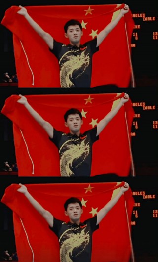 为什么张继科不打球了(张继科为什么不打球也不退役)