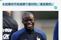 内德说英超(内德维德中超形象大使)