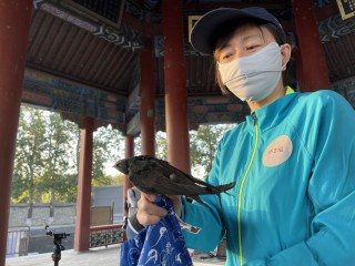 腾讯体育直播雨燕(腾讯体育羽毛球直播)