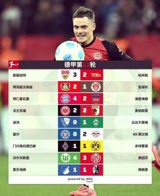 2013年德甲(2013年德甲mvp)