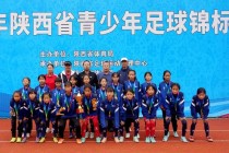 陕西足球比赛(陕西足球比赛最新赛事安排)