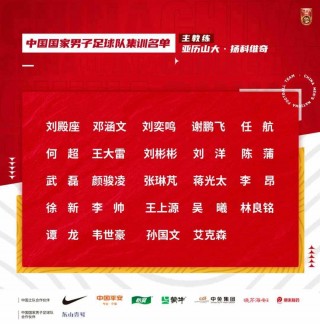 国家足球队总人数排名(足球国家队数量)