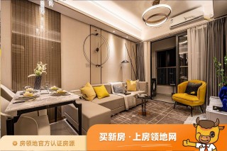 广州恒大冠珺之光现状(广州恒大冠珺之光值得投资吗)