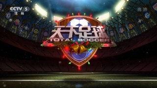 掌上足球直播(掌上足球app可靠么)