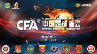包含山东对陕西足球直播视频的词条