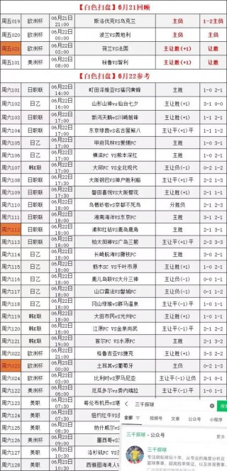 德国08欧洲杯比分(2008年欧洲杯德国内讧)