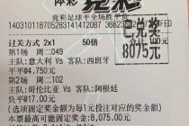 欧洲杯体彩玩法(欧洲杯体彩玩法有哪些种类)，欧洲杯体彩种类丰富多样的玩法