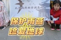 雨燕直播蜜爷(雨燕直播百度百科)