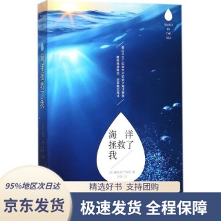 赫尔维格(赫尔维格 实力)，赫尔维格实力解析
