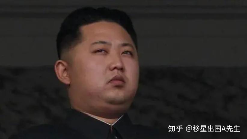 移民加拿大我后悔死了(移民加拿大后悔死了的人)  第1张