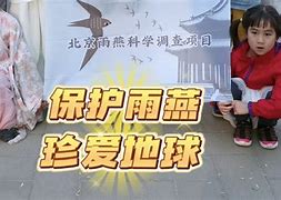 雨燕直播蜜爷(雨燕直播百度百科)  第1张