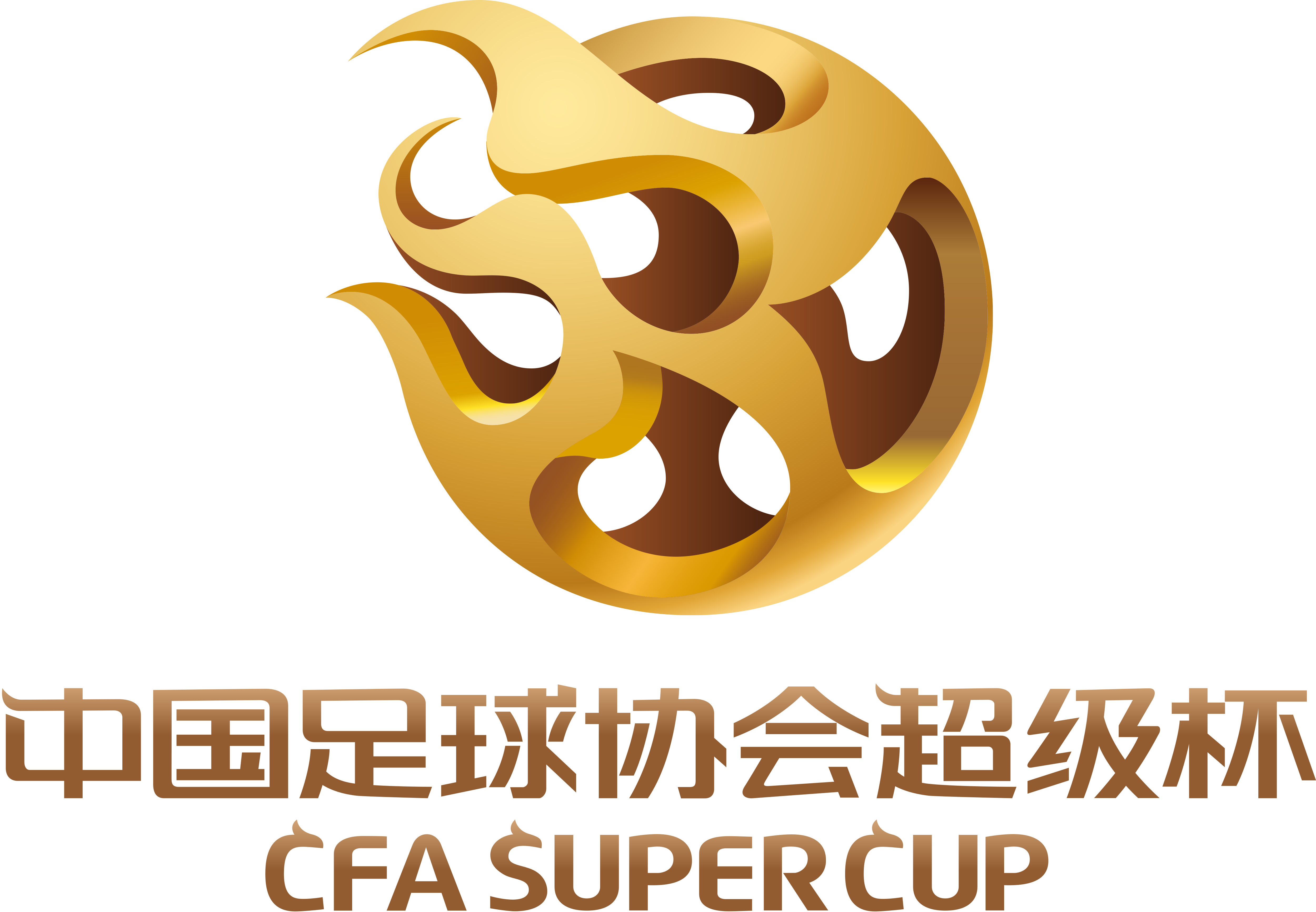 中国足球协会官方网站(中国足球协会官方网站教练员培训管理系统)  第2张