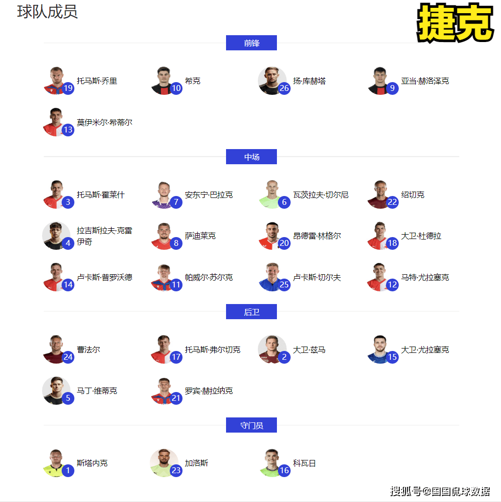 德国蝉联欧洲杯(德国 欧洲杯 出线)  第1张