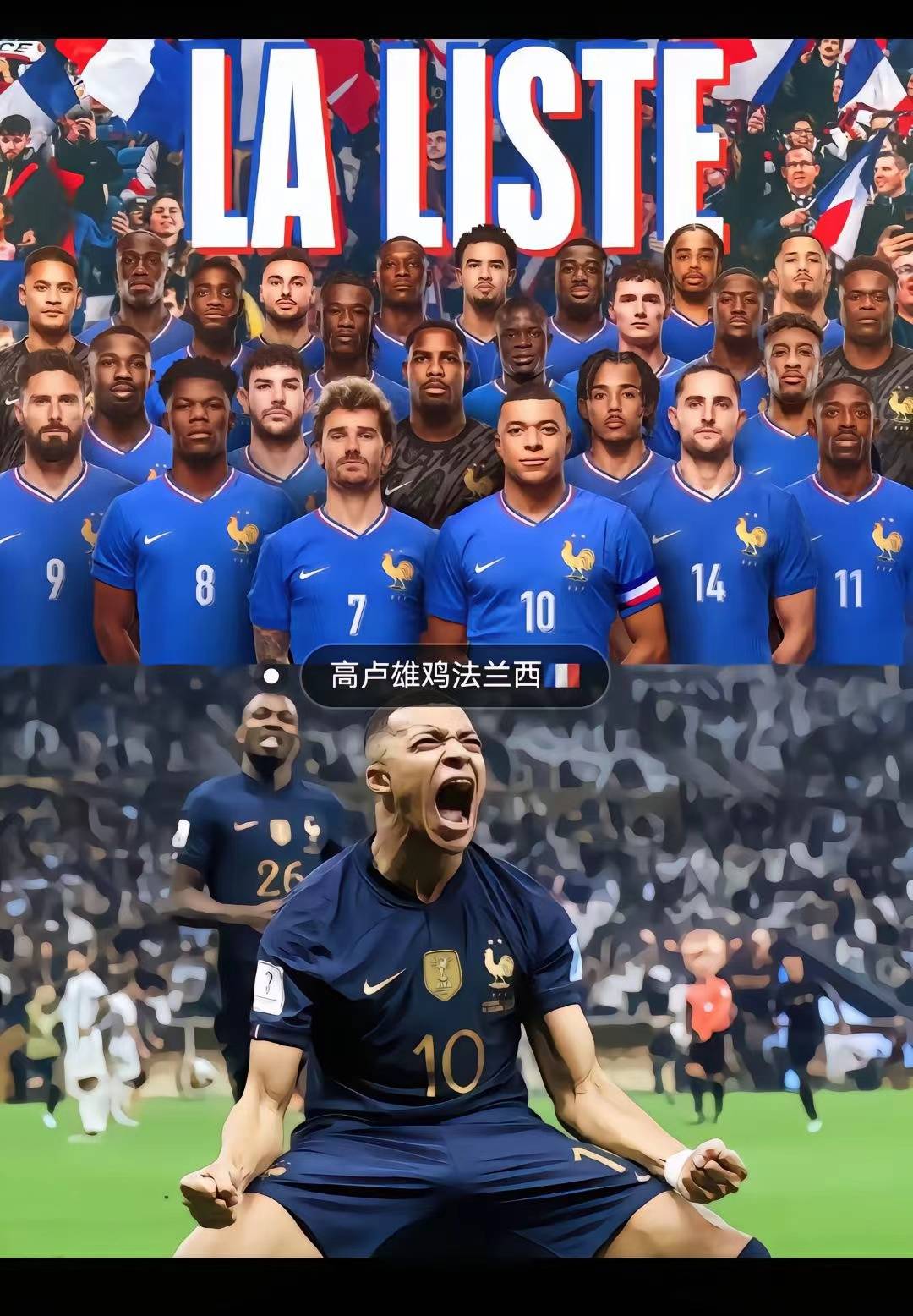 欧洲杯德国vs法国(欧洲杯德国vs法国直播)  第2张